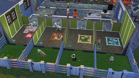 How To Adopt A Pet In Sims 4