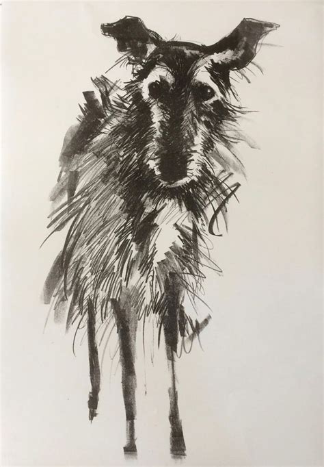 Sally Muir Dog Paintings Greyhound Art Dog Art