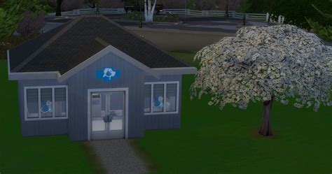 The Sims 4 Cats And Dogs Guide To Running A Successful Vet Clinic