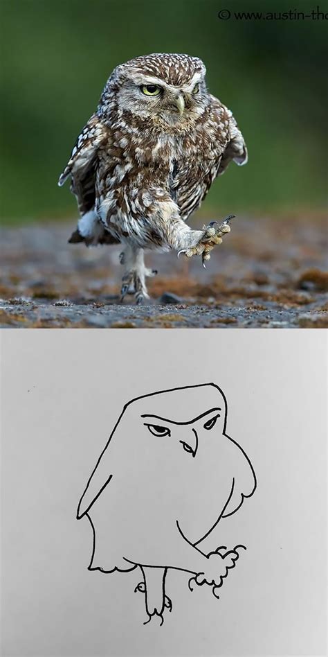 This Twitter Account Posts ‘poorly Drawn Animals And Here Are The
