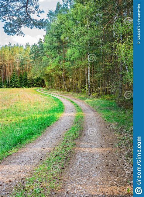Dirt Road At Edge Of Forest And Green Grassland Stock Image Image Of
