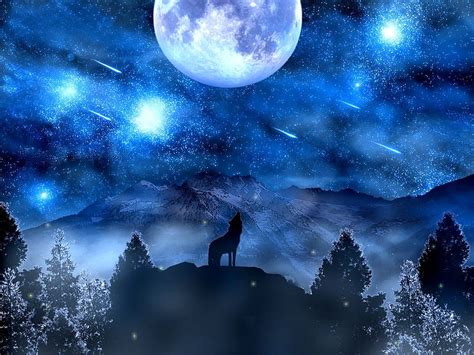 Howling At The Moon Stars Moon Mountains Wolf Trees Howling