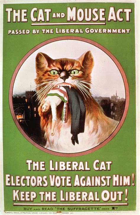 Cat And Mouse Force Feeding The Suffragettes History Extra