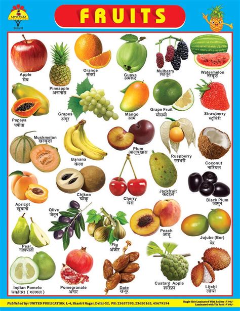 Classification Of Fruits Chart