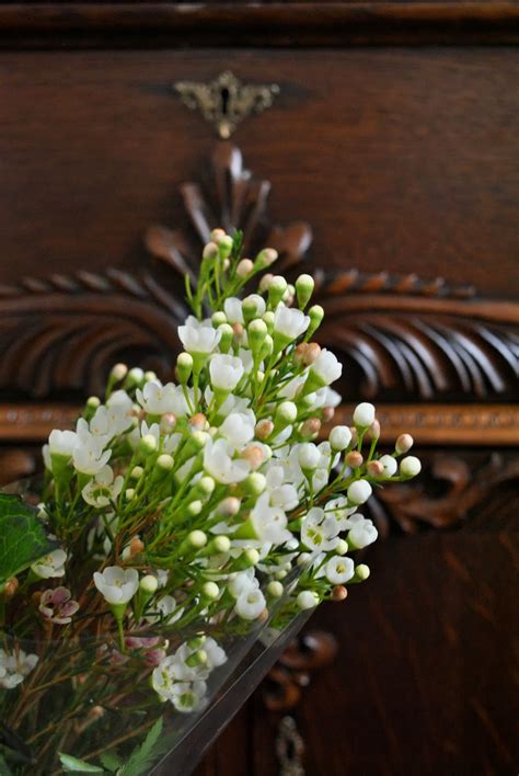 Maybe you would like to learn more about one of these? The Grower's Daughter: An Anniversary Bouquet