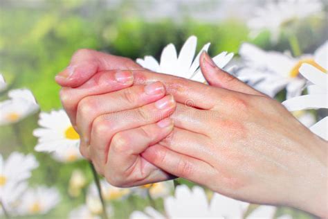 Sensuele Vrouwelijke Handen Die Tegen Elkaar Wrijven Stock Foto