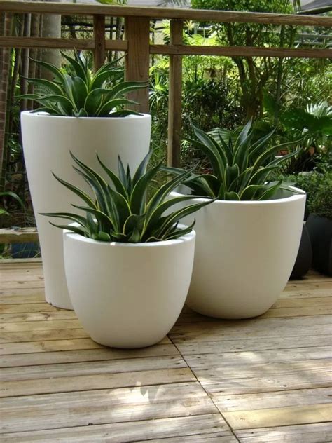 √85 Easy Container Gardening Ideas For Your Potted Plants Potted