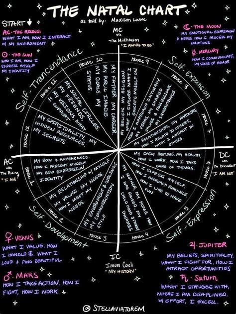 Astrology Meaning Birth Chart Astrology Astrology And Horoscopes