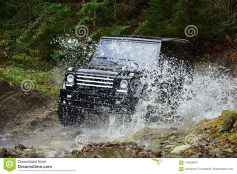 Offroad Race In Forest Car Racing With Creek On Way