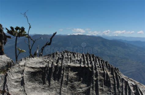 Mountain View Of The Andes Colombia Stock Photo Image Of Adventure