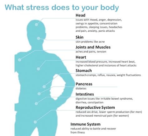 Wellness Guide How Stress Affects Your Health