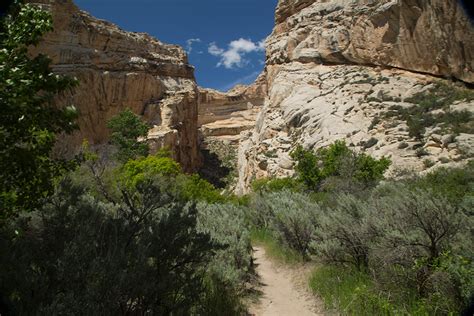 It is an object thought to have been a concept in jewish folklore, whilst a box is just a box, what makes this one stand out is what its meant to contain, a dybbuk. Box Canyon Trail - Dinosaur National Monument (U.S ...