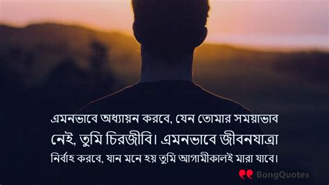 Astonishing Compilation Of 999 Bengali Inspirational Quotes With