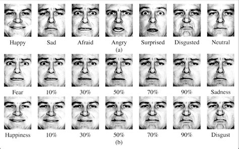 A Example Prototypical Expressions Of Six Basic Emotions And A