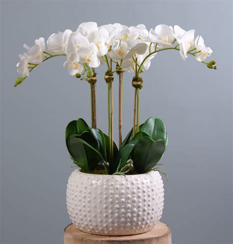 Bloomr Silk Orchids Faux Orchids Artificial Orchids Decorating With