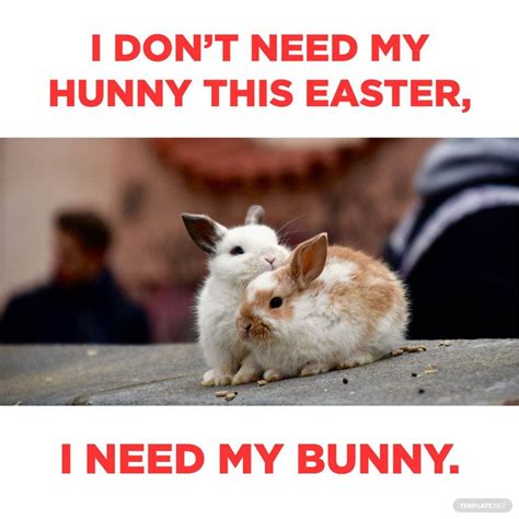 Easter Bunny Meme In  Download