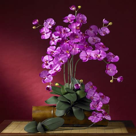 Phalaenopsis Silk Orchid Flower W Leaves 6 Stems