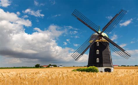 Wheat Mill Stock Photos Pictures And Royalty Free Images Istock