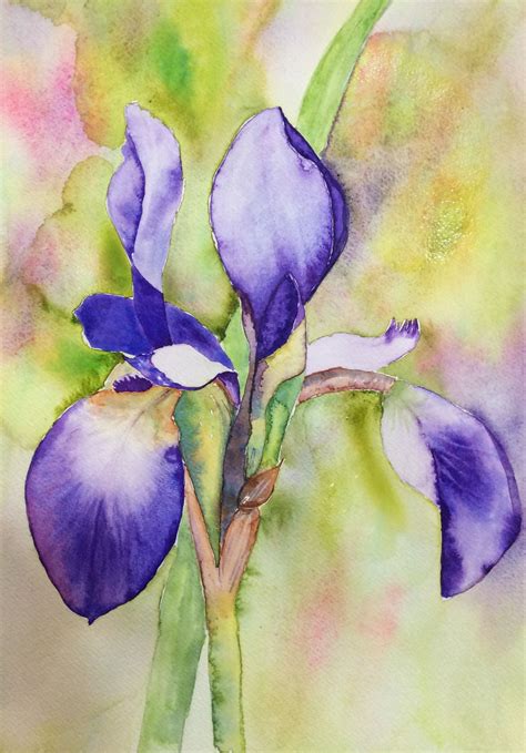 Iris Watercolour Abstract Flowers Watercolor Flowers Watercolor
