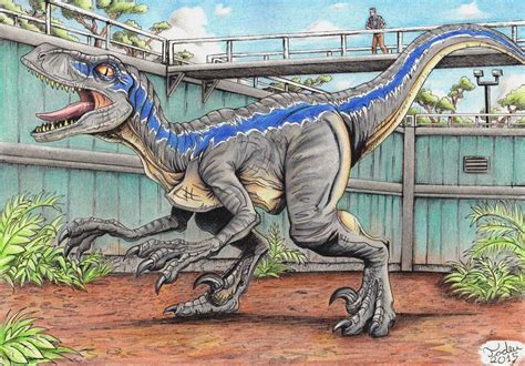 Jurassic World Blue Jurassic World Tadeu Arte Com Tema De Dinossauro