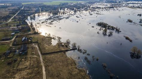 Flooded Trees During A Period Of High Water Trees In Water Stock Image