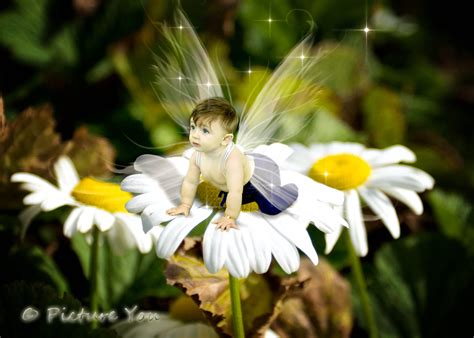 Baby Boy Fairy Fairy Photography Real Fairies Fairy