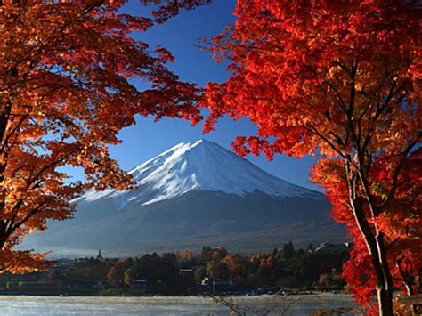 Fuji Kawaguchiko Autumn Leaves And Arakurayama Sengen Park Tour From
