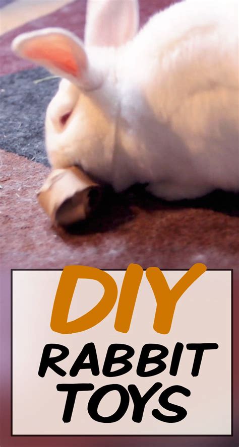 5 Diy Easy Rabbit Chew Toys To Make A Step By Step Guide Diy Bunny