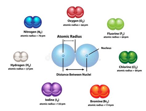 Raggio Atomico Delle Molecole Diatomiche Illustrazione Vettoriale Illustrazione Di Iodio