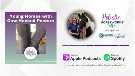 Young Horses With Cow Hocked Posture Holistic Horseworks Talks Youtube