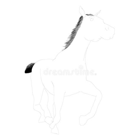 Horse Kick Silhouette Stock Illustrations 119 Horse Kick Silhouette