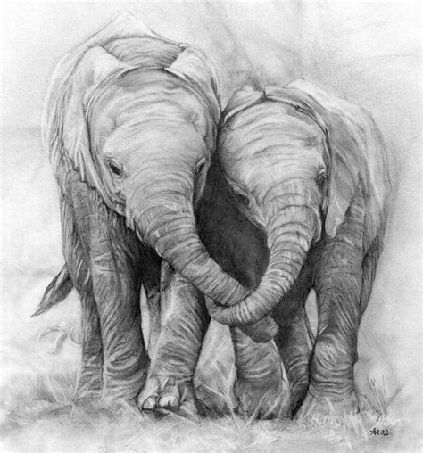 In this category you can turn a picture into a drawing of your choice by selecting from a library of different styles including pencil drawings and watercolours. Elephants. Pencil drawing | Although poaching of elephants ...