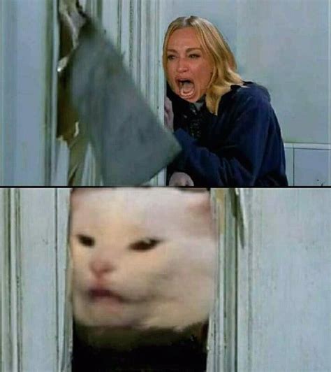 8 Woman Yelling At Cat Meme Template Perfect Template Ideas