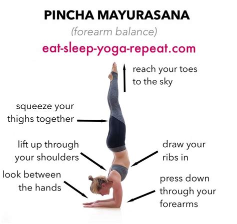 Pincha Mayurasana Forearm Balance Is A Challenging And Very Rewarding