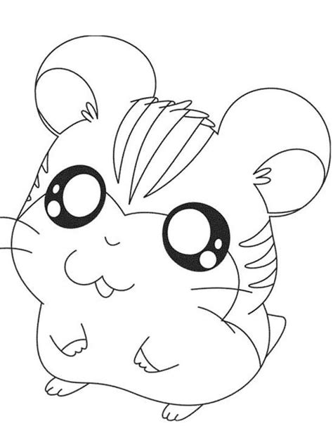 Cute Hamster Coloring Pages Pdf Printable