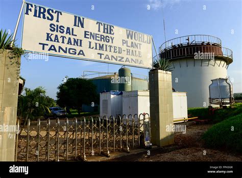 Tanzania Tanga Katani Ltd Biogas Plant In Hale The Remaining Fibres