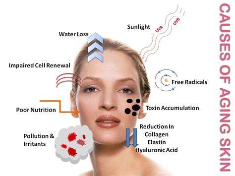 Main Causes Of Aging Skin What Do Your Skin Symptoms Tell You