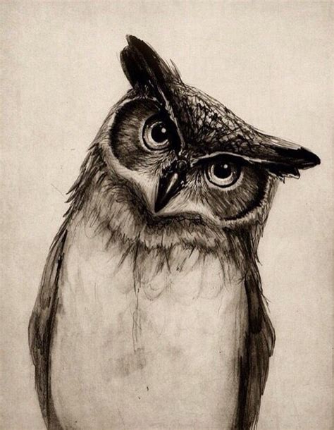 Owl With Head Tilted Art Buos Dibujos Animales Dibujados A Lapiz