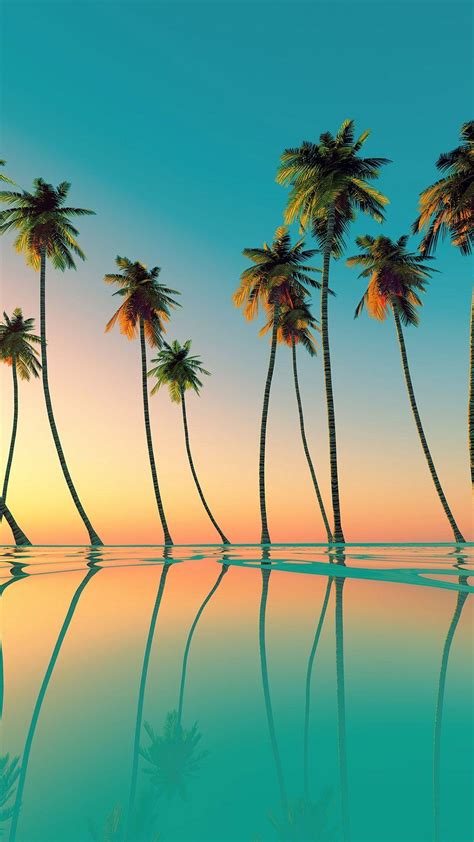 Palm Trees Wallpapers Top Free Palm Trees Backgrounds Wallpaperaccess