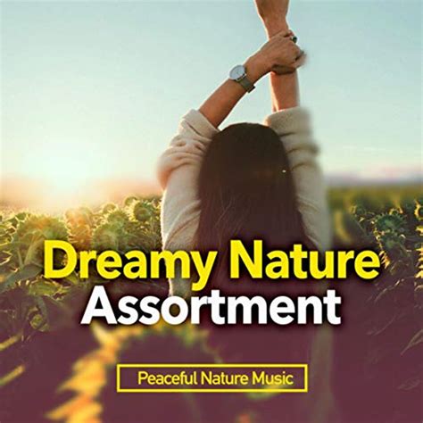 Dreamy Nature Assortment Peaceful Nature Music Digital Music