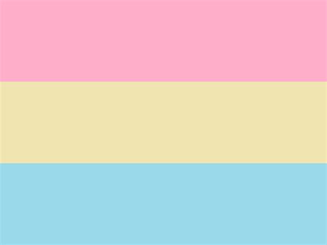 Pansexual Wallpapers 👉👌pansexual Flag Wallpapers Wallpaper Cave