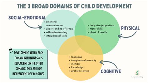 The 3 Domains Of Childhood Development Sunny Sprouts By Miss Jane