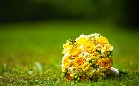 Download Wallpapers Yellow Wedding Bouquet Flowers On The Grass Yellow Roses 4k Wedding