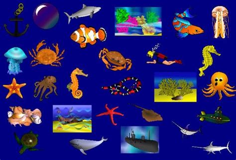 Gambar Hidupan Laut Kartun Berwarna Gambar Sketsa Kartun Lucu Yang