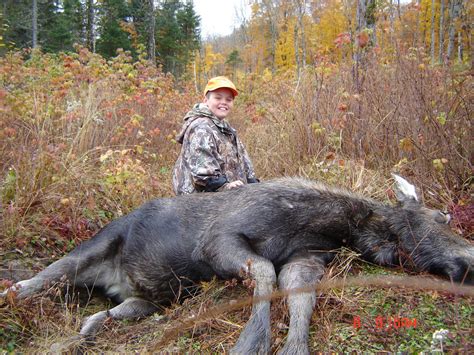 Maine Moose Hunting Photo Gallery Allagash Guide Service