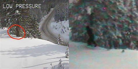 Webcam Footage Of Bigfoot Shared By Department Of Transportation