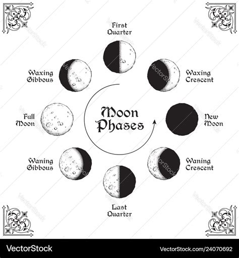 Moon Phases Circle