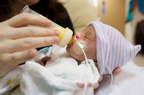 Maternal Milk Tied To Better Outcomes For Preemies — Harvard Gazette