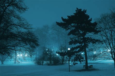 Blue Colored Snowy Night In Warsaw Image Free Stock