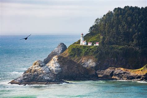 Your Guide To The Oregon Coast Lighthouses The Inn At Otter Crest